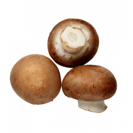 champignons-brun