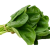epinard-legume-transparant
